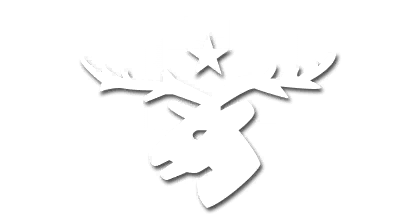 Eesti Scouts